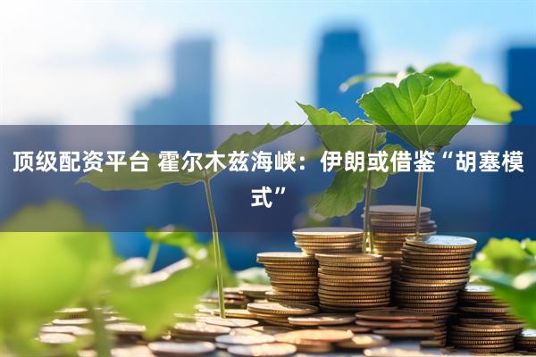 顶级配资平台 霍尔木兹海峡：伊朗或借鉴“胡塞模式”