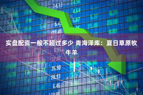 实盘配资一般不超过多少 青海泽库：夏日草原牧牛羊