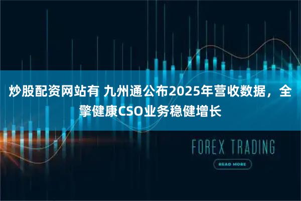 炒股配资网站有 九州通公布2025年营收数据，全擎健康CSO业务稳健增长
